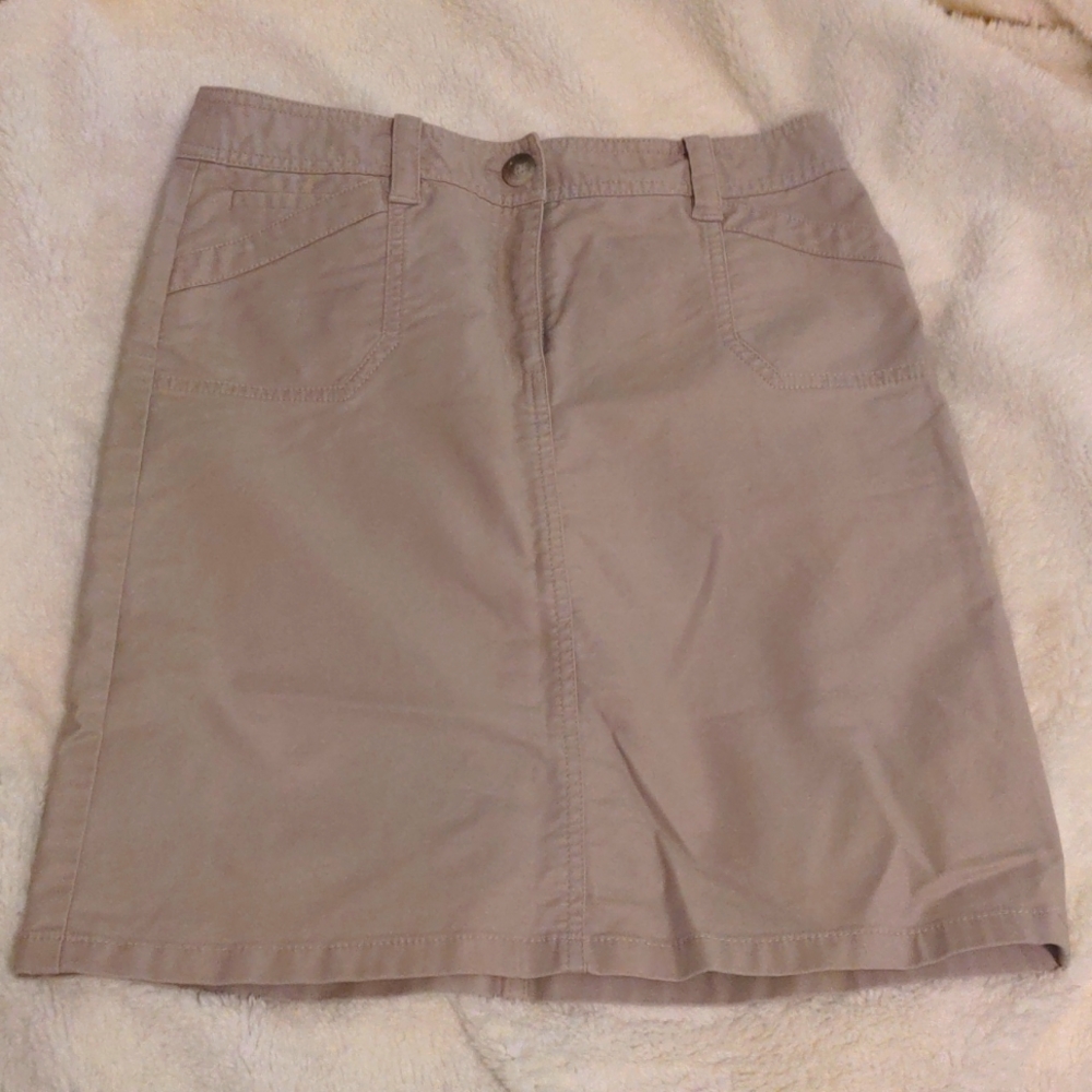 Ann Taylor Skirt